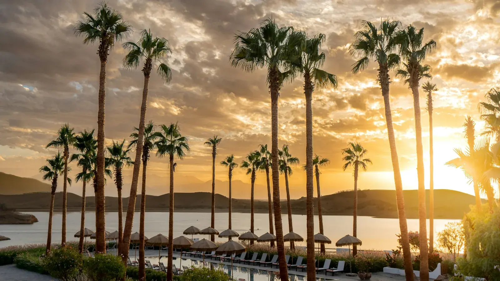 A resort terrace lined with palms above the ocean at golden hour